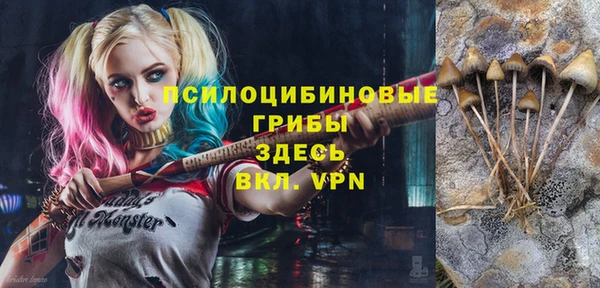 герыч Алексин