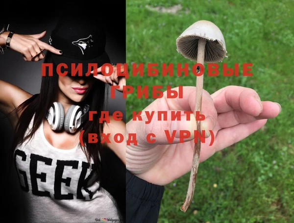 ПСИЛОЦИБИНОВЫЕ ГРИБЫ Абинск