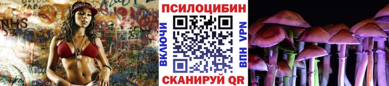 Псилоцибиновые грибы Psilocybe  Шумерля 